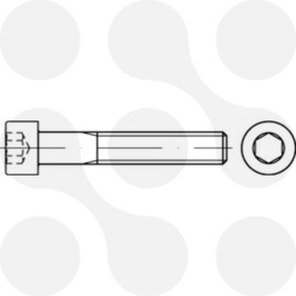 Zyl.Schr.In6kt,DIN912,VZ,M05x055,VE:1