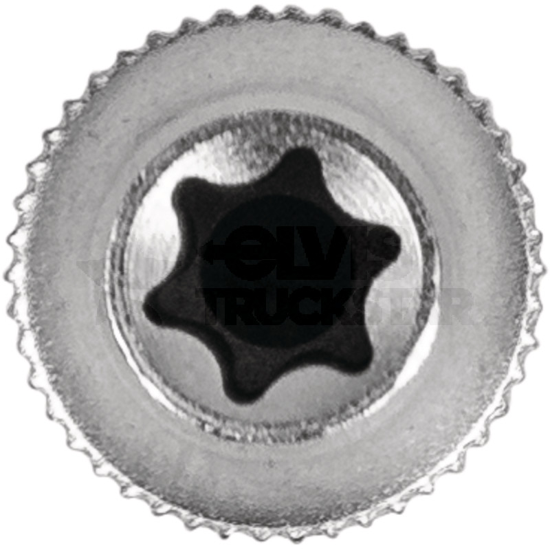 Stecknuss 1/4'' TX-E, E6