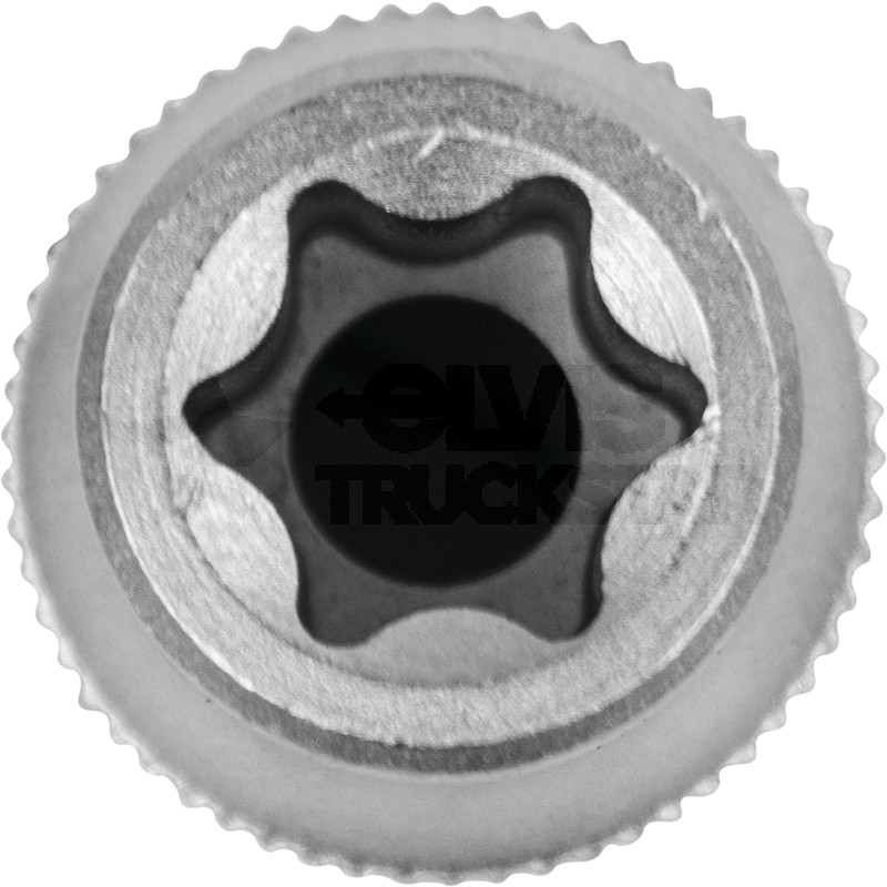 Stecknuss 3/8'' TX-E, E10