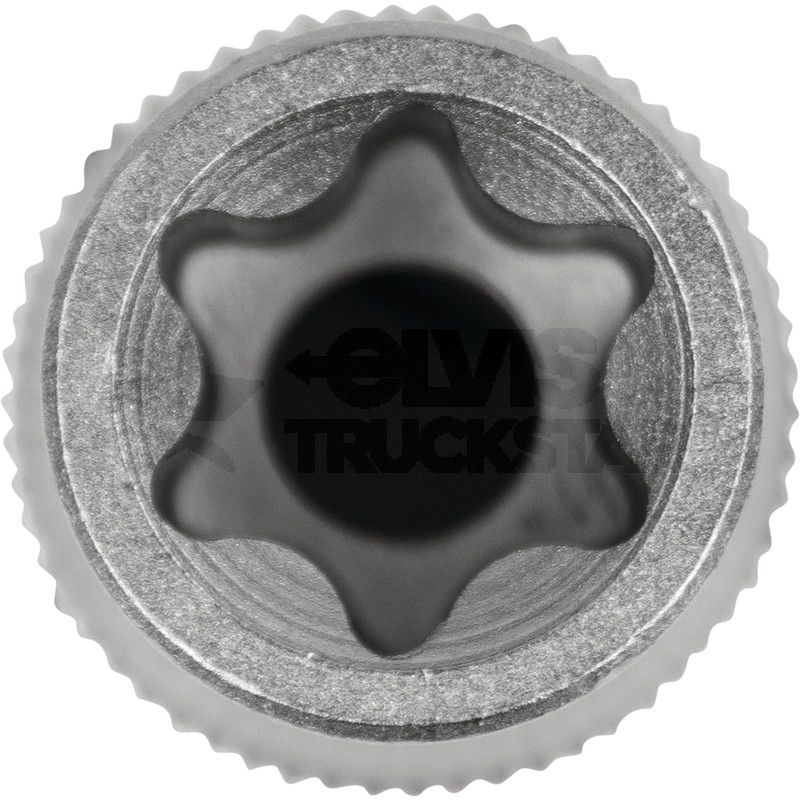 Stecknuss 3/8'' TX-E, E12