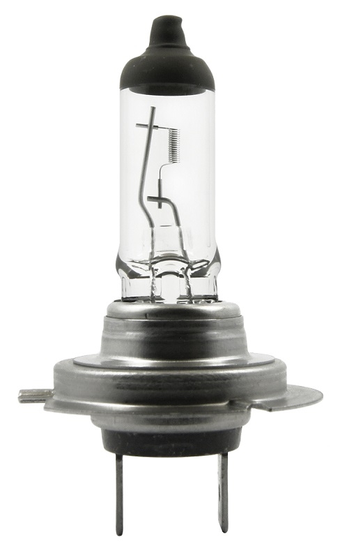 Halogen 24V H7 - 70W Base PX26d Standard